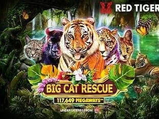 Big Cat Rescue Megaways™